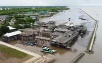 Sạt lở tại ĐBSCL diễn biến ngày càng nghiêm trọng