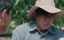 Mẹ rơm - Tập 14: Mô đã cưu mang Hạt Dẻ, vẫn bị Khoản thẳng tay đánh
