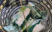 Đánh cá trên biển, ngư dân vớt được 7 gói nghi chứa ma túy