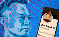Elon Musk sẽ “ân xá” cho những tài khoản bị đình chỉ trên Twitter