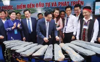 Thủ tướng Phạm Minh Chính chủ trì Hội nghị về phát triển vùng Đông Nam Bộ