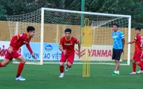 ĐT Việt Nam tăng cường rèn đấu pháp, Châu Ngọc Quang hi vọng được ra sân đấu Borussia Dortmund