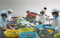 Xuất khẩu thủy sản có khả năng sẽ cán mốc 11 tỷ USD