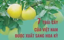 7 trái cây của Việt Nam được xuất sang Hoa Kỳ