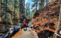 Bhutan - quốc gia duy nhất có hiến pháp riêng bảo vệ các khu rừng