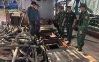 Tạm giữ tàu cá chở 18.000 lít dầu DO không rõ nguồn gốc trên vùng biển Tây Nam