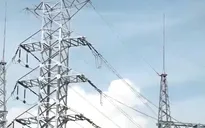 Thu hút dòng vốn xanh phát triển bền vững doanh nghiệp nhà nước