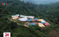 Người dùng kiến trúc tạo "mã gen" văn hóa Việt Nam