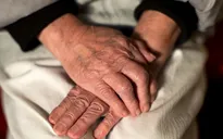 Thuốc Lecanemab làm chậm suy giảm nhận thức với bệnh nhân Alzheimer