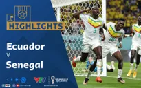HIGHLIGHTS | ĐT Ecuador vs ĐT Senegal | Bảng A VCK FIFA World Cup Qatar 2022™