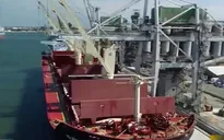 Nga thúc đẩy xuất khẩu ngũ cốc, phân bón