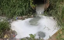 Sơn La: Bắt quả tang cơ sở chế biến tinh bột dong xả thải trái phép