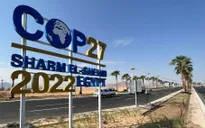 Việt Nam tham dự COP27 với tâm thế chia sẻ và tăng cường hợp tác