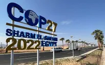 Hơn 100 nguyên thủ quốc gia tham dự Hội nghị thượng đỉnh về khí hậu (COP27)