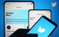 Twitter chính thức thu phí đối với "tài khoản tích xanh"