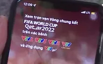 Xử lý vi phạm để bảo vệ bản quyền World Cup