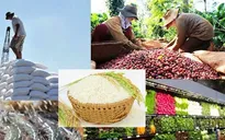 Xuất khẩu nông sản, thực phẩm nỗ lực về đích