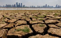 COP27: Ra mắt Liên minh quốc tế ứng phó với hạn hán
