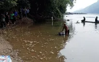 Tuyên Quang: Tìm thấy thi thể nạn nhân mất tích trong vụ lật đò trên sông Lô