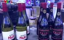 Rượu vang Chile thích ứng với biến đổi khí hậu