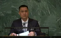 Đại hội đồng Liên hợp quốc thông qua 4 nghị quyết về vấn đề Palestine