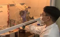 Hàn Quốc nghiên cứu phát triển cơ nhân tạo