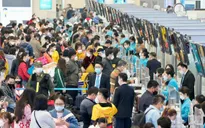 Các hãng hàng không đồng loạt tăng chuyến phục vụ Tết Quý Mão
