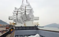 Việt Nam dự kiến xuất khẩu hơn 7 triệu tấn gạo