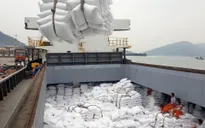 Xuất khẩu nông sản nhiều điểm sáng