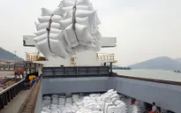 Giá gạo xuất khẩu tăng gần 10%