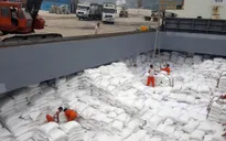 Giá gạo xuất khẩu tăng tuần thứ 3 liên tiếp