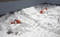 5 mặt hàng nông sản có thặng dư thương mại cao