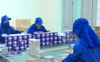Công nghệ mới trong sản xuất pháo hoa không tiếng nổ