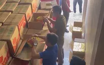 Ngụy trang tinh vi gần 7 tấn pháo trong... thùng hoa quả