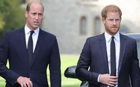 Hoàng tử Harry kể chi tiết nguyên nhân rạn nứt tình anh em với Hoàng tử William