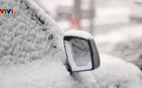 Tuyết rơi dày gây gián đoạn hàng không Hàn Quốc