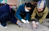 Bệnh dại gây chết người nhưng phòng tránh được