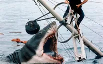 Đạo diễn Steven Spielberg ân hận về hậu quả của phim "Hàm cá mập"