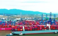 Hình thành khu thương mại tự do gắn với cảng biển tại khu vực Cái Mép Hạ