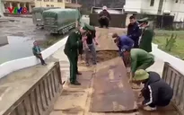 Nghệ An Bắt vụ vận chuyển gỗ quý qua cửa khẩu quốc tế Nậm Cắn