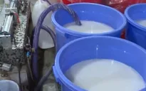 Sản xuất sữa tắm, dầu gội bằng "công nghệ xô chậu"