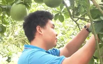 Bà Rịa - Vũng Tàu phát triển nền nông nghiệp hữu cơ đồng bộ, hiệu quả