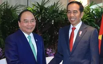 Khẳng định tầm chiến lược quan hệ Việt Nam - Indonesia