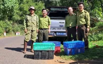 Bình Phước: Thả 14 loài động vật quý hiếm về rừng tự nhiên