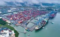 Sẵn sàng hình thành Khu thương mại tự do Cái Mép Hạ