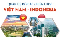 Quan hệ Đối tác chiến lược Việt Nam - Indonesia