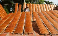 Tây Ninh: Công nhận nghề bánh tráng thủ công ở ấp Cây Xoài là nghề truyền thống