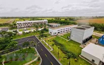 Cần Thơ: Tồn dư 11.000 tấn tro bay sau đốt rác