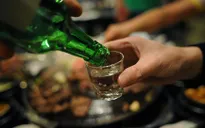 "Năm hết Tết đến, ép dầu, ép mỡ, đừng nỡ ép rượu!"
