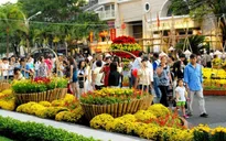 Chỉ thị của Thủ tướng Chính phủ về Tăng cường các biện pháp bảo đảm đón Tết Nguyên đán